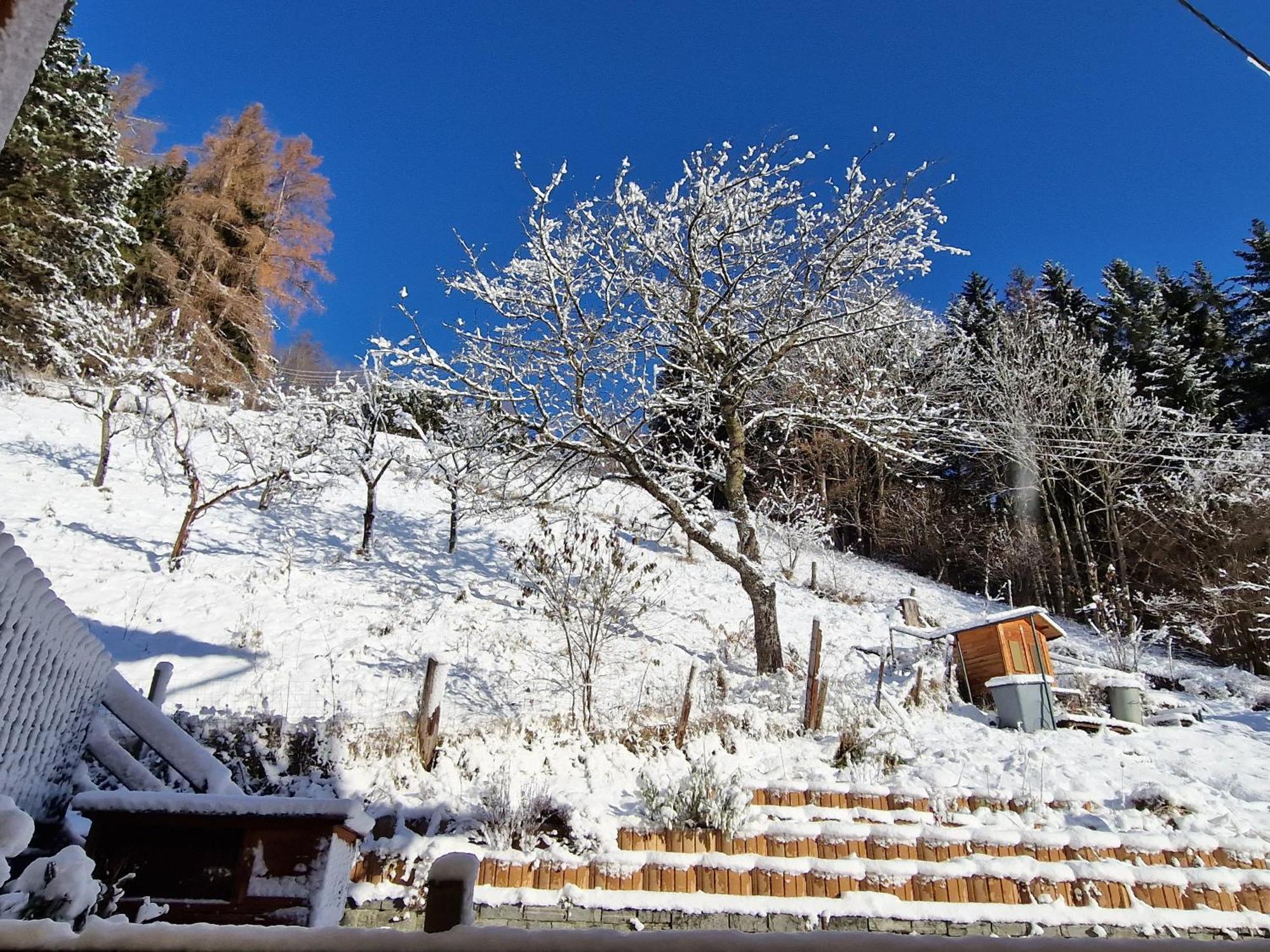 Pension Sonnenheim Rooms&Apartments Ґмюнд-ін-Кернтен Екстер'єр фото
