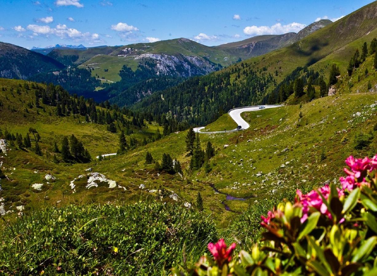 Pension Sonnenheim Rooms&Apartments Ґмюнд-ін-Кернтен Екстер'єр фото